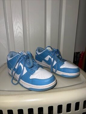 Nike Dunk Low Polar Blue